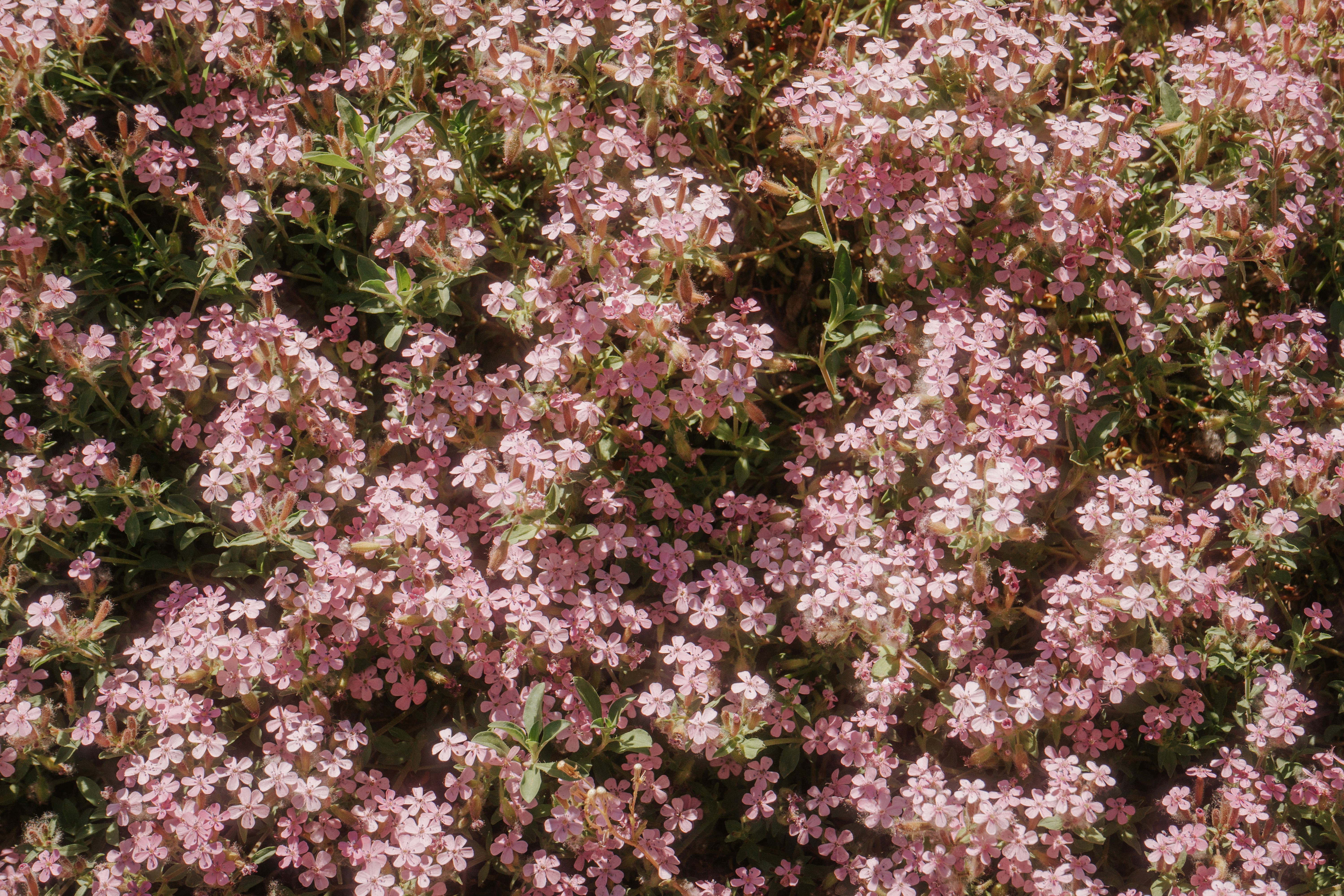 Photo by mariasolponce