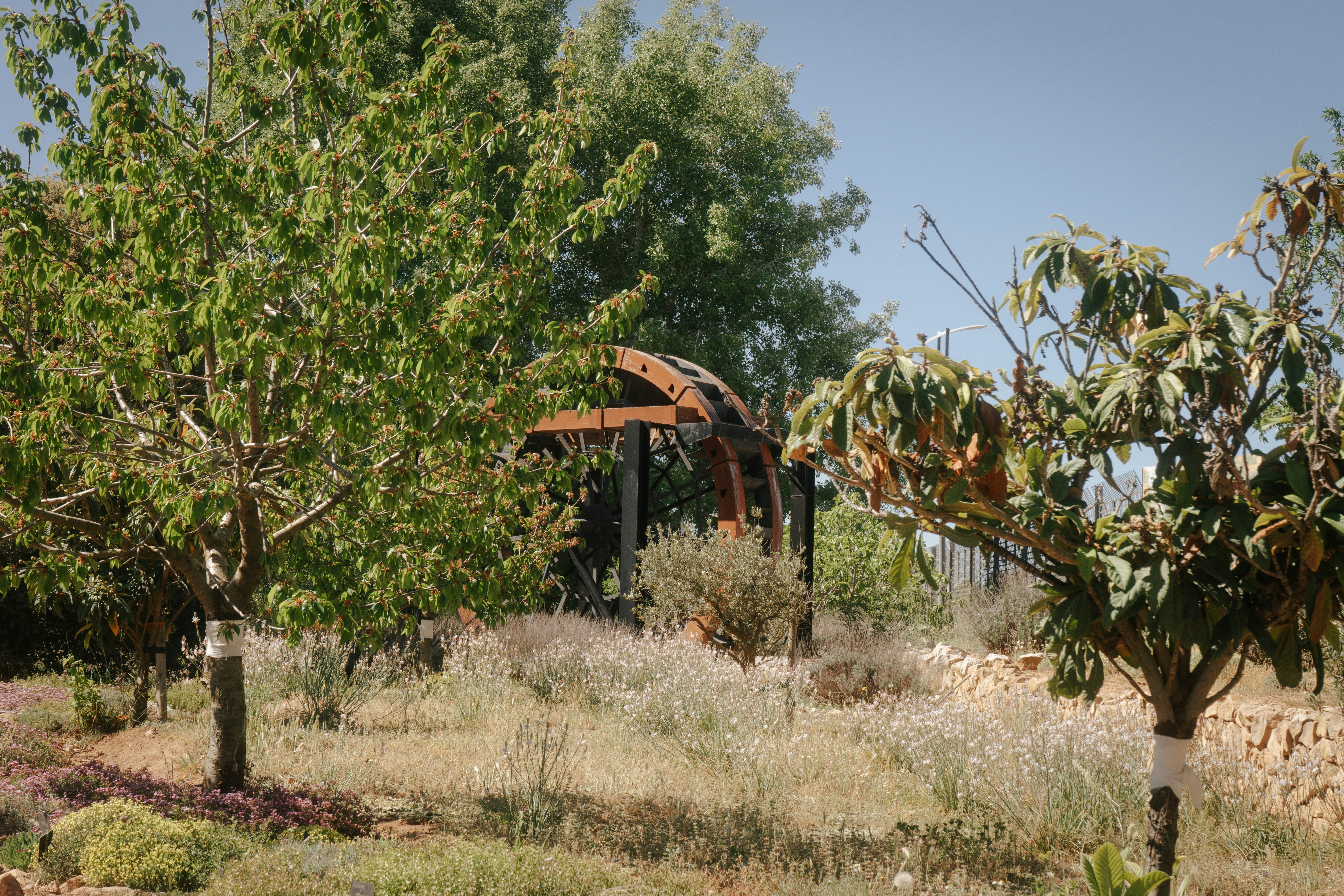 Photo by mariasolponce