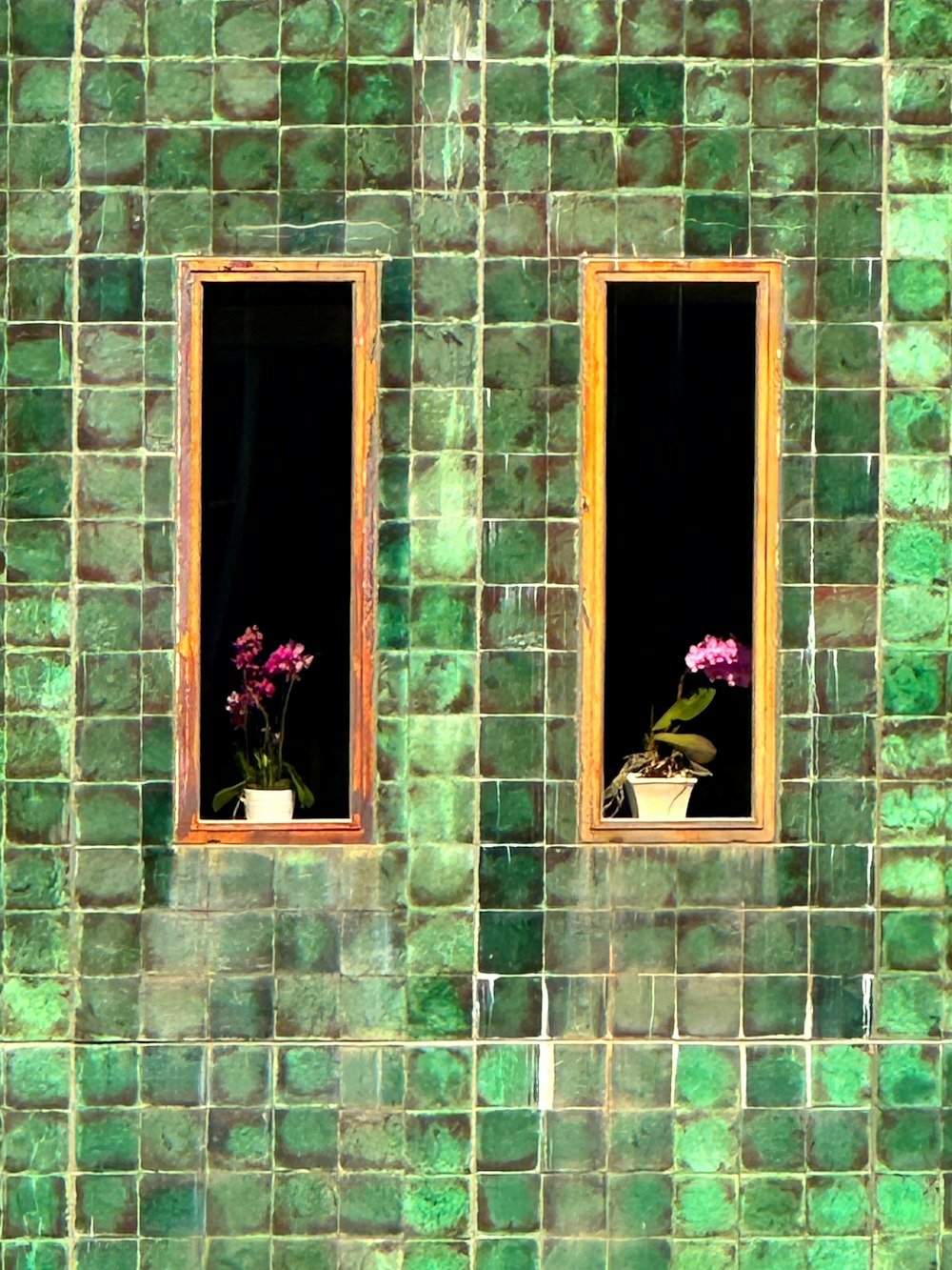 a green tiled wall with two windows and a potted plant