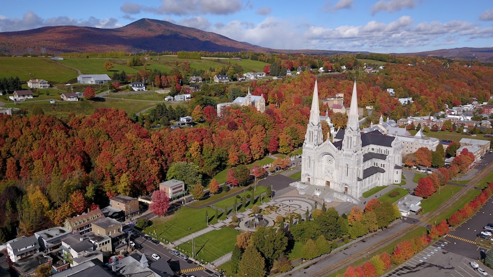 an aerial view of a church surrounded by trees