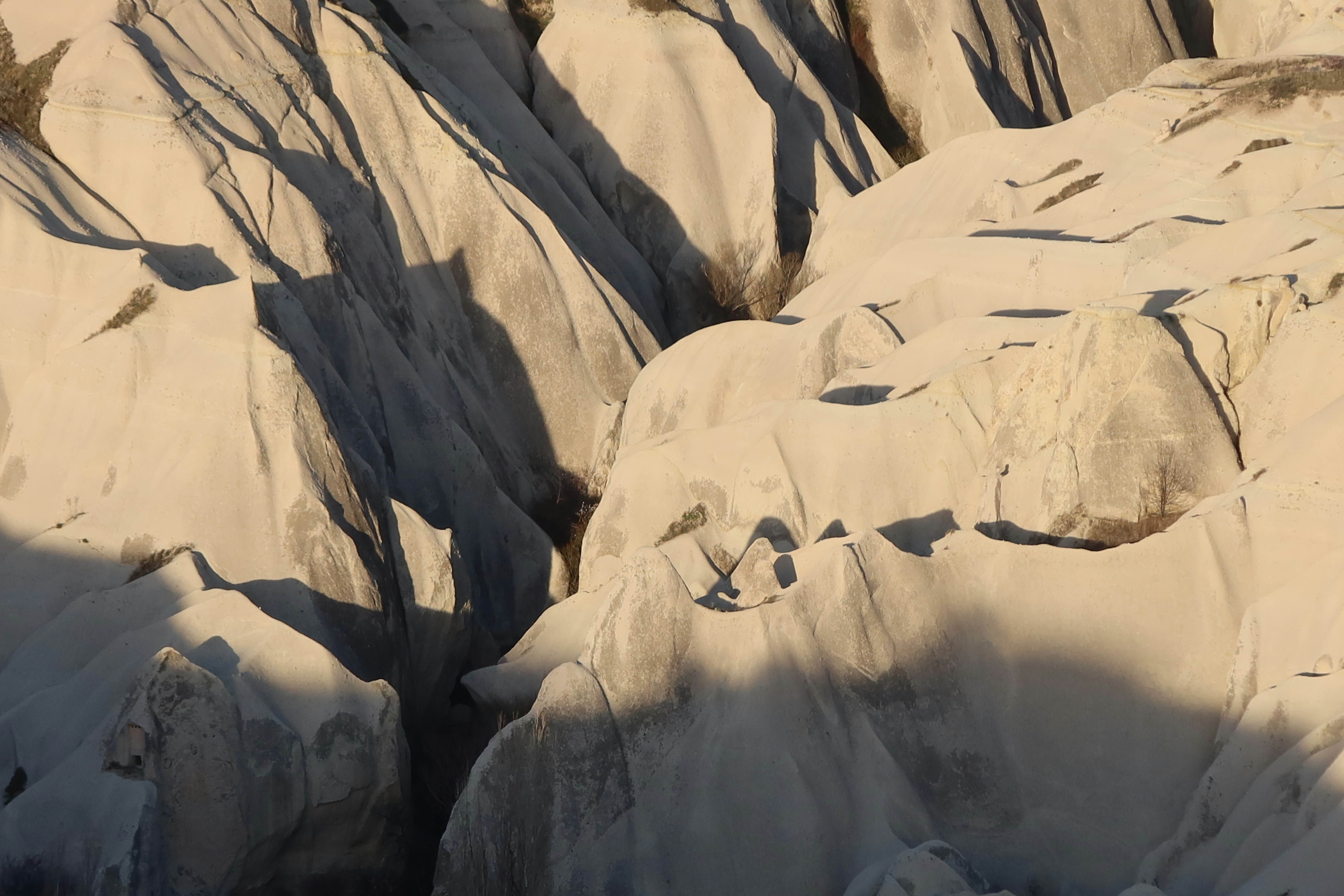 a large group of rocks with trees growing out of them