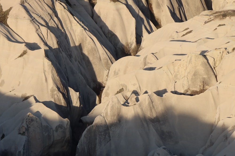 a large group of rocks with trees growing out of them