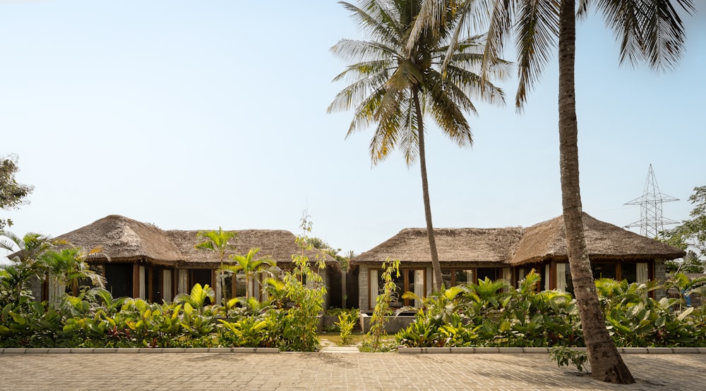 a couple of houses sitting next to a palm tree