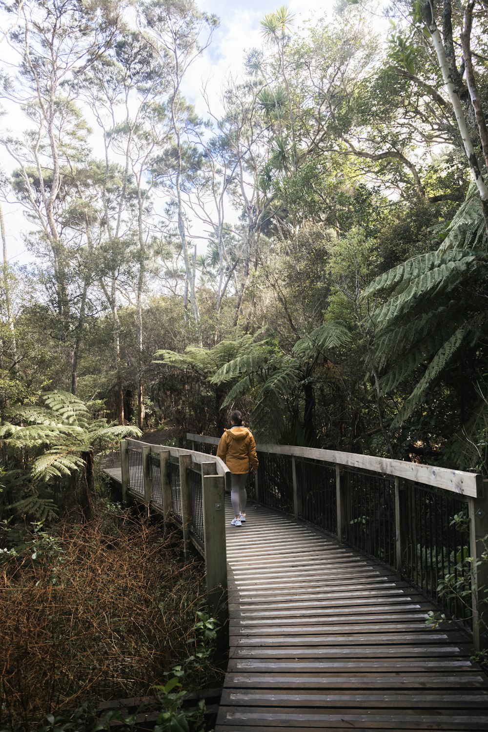 a person walking across a bridge in the woods