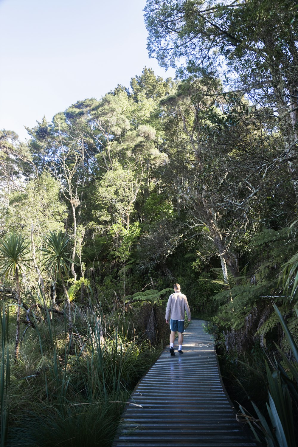a man walking down a wooden walkway in the woods
