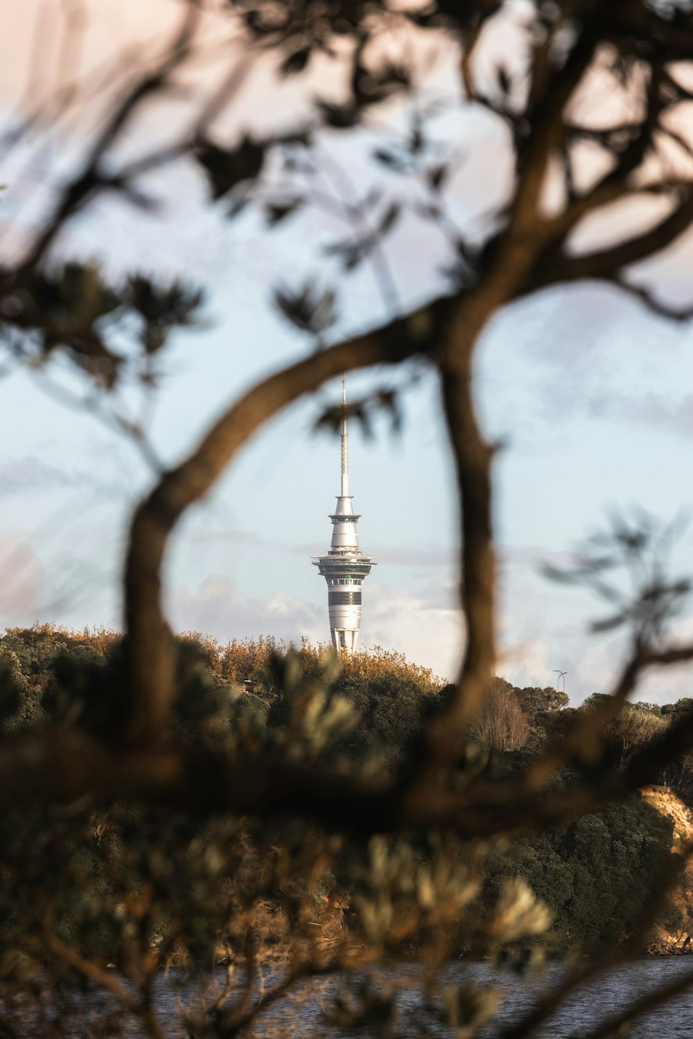 a view of a tower through some trees