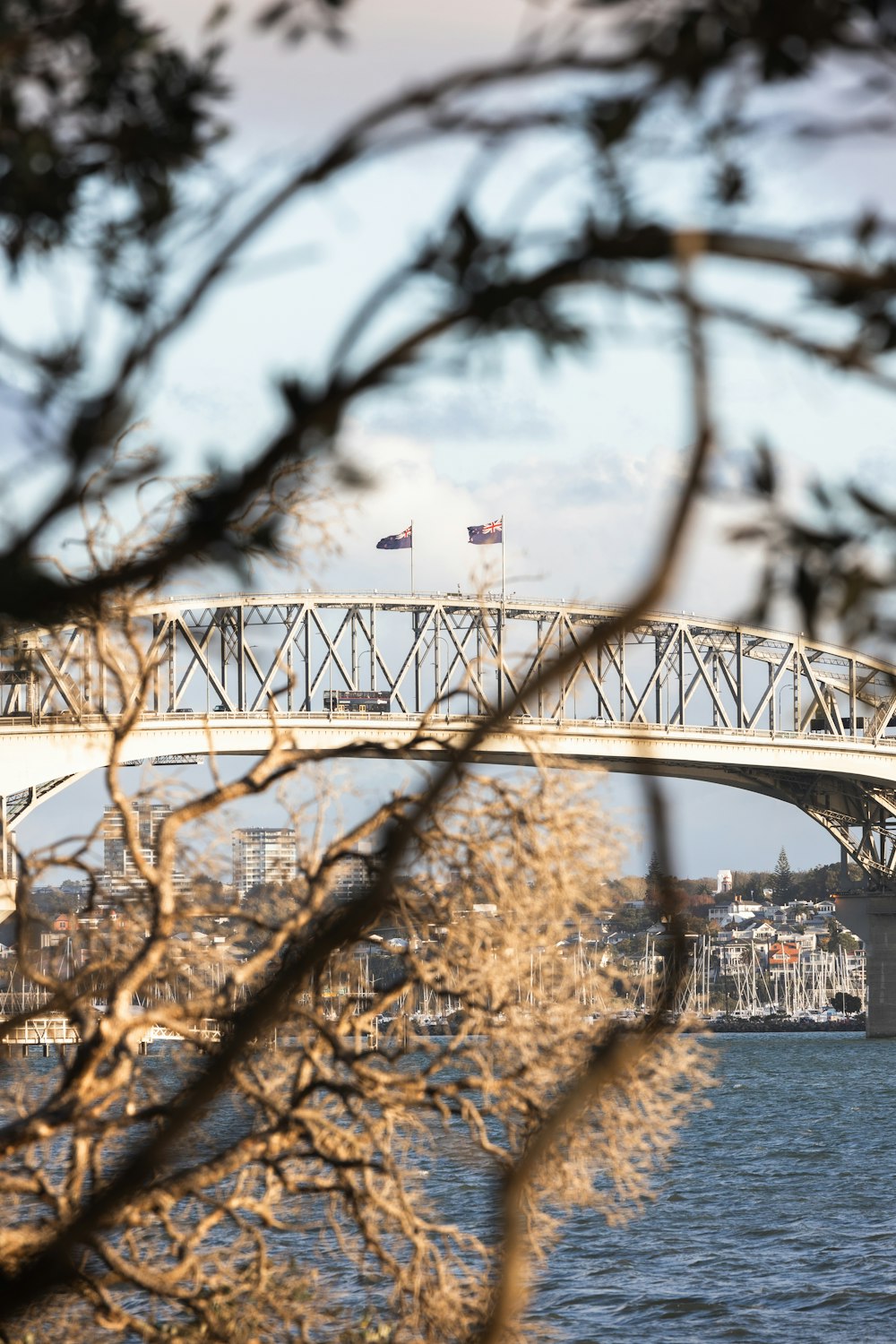 a bridge over a body of water with trees in the foreground