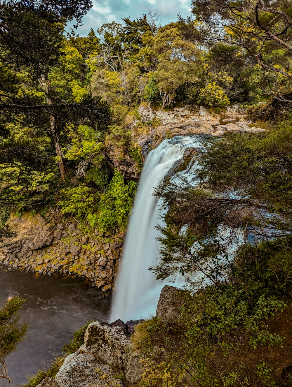 a large waterfall in the middle of a forest