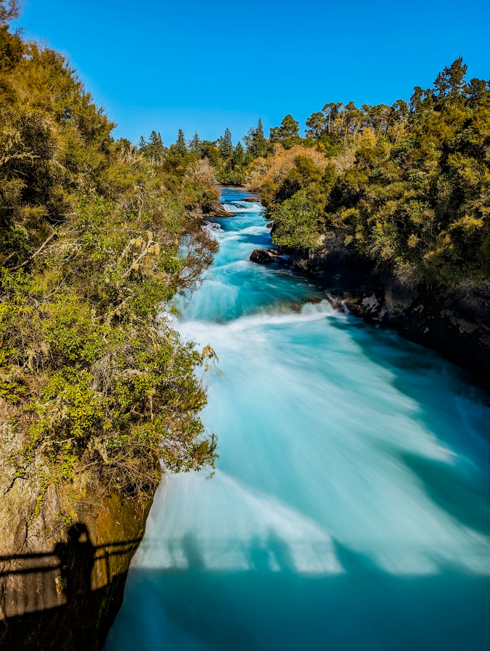 a river running through a lush green forest