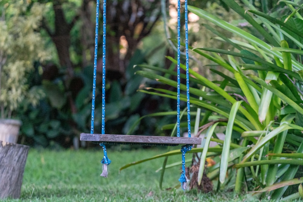 a wooden bench hanging from a blue rope