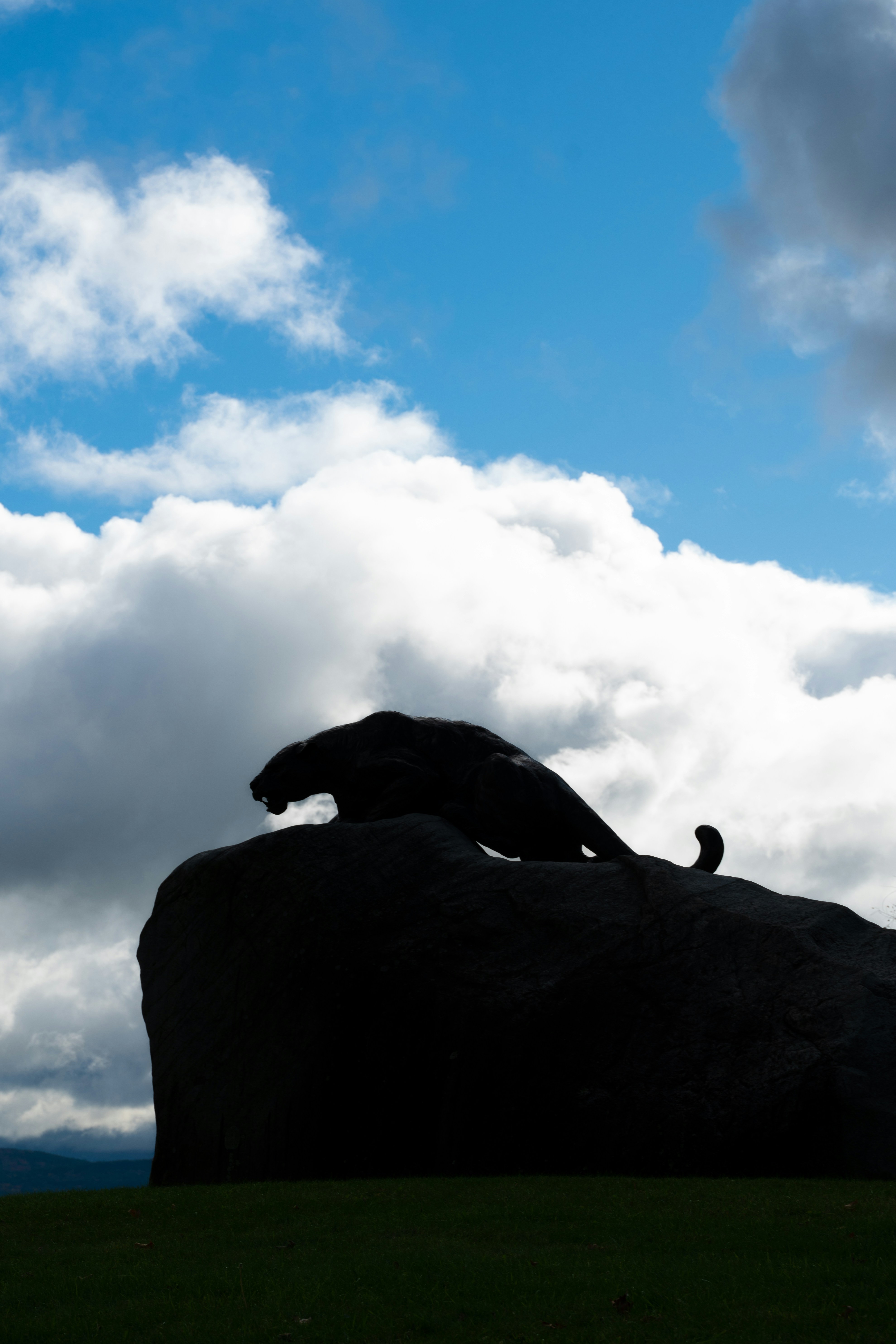 Photo by austin_7792