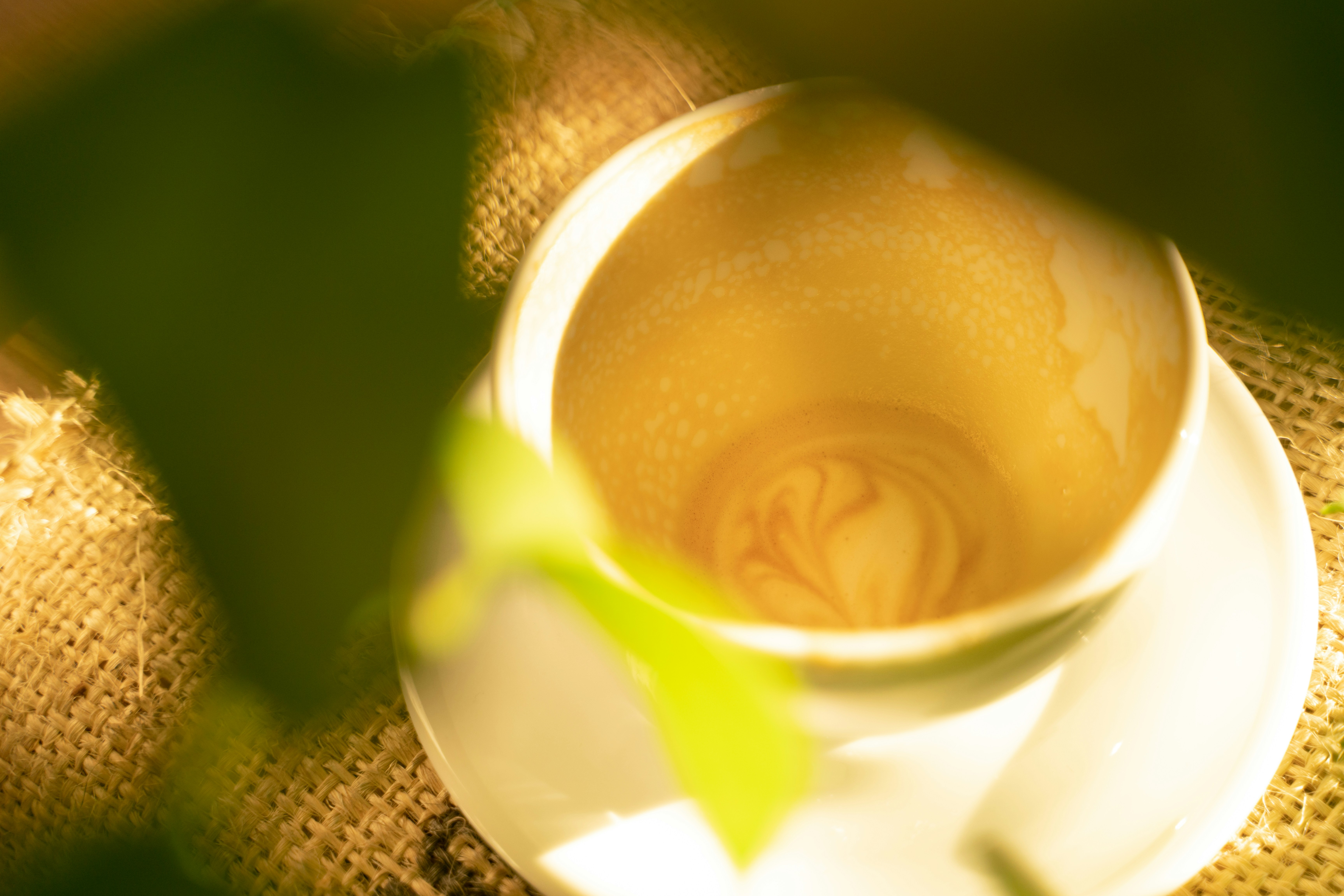 Photo by austin_7792