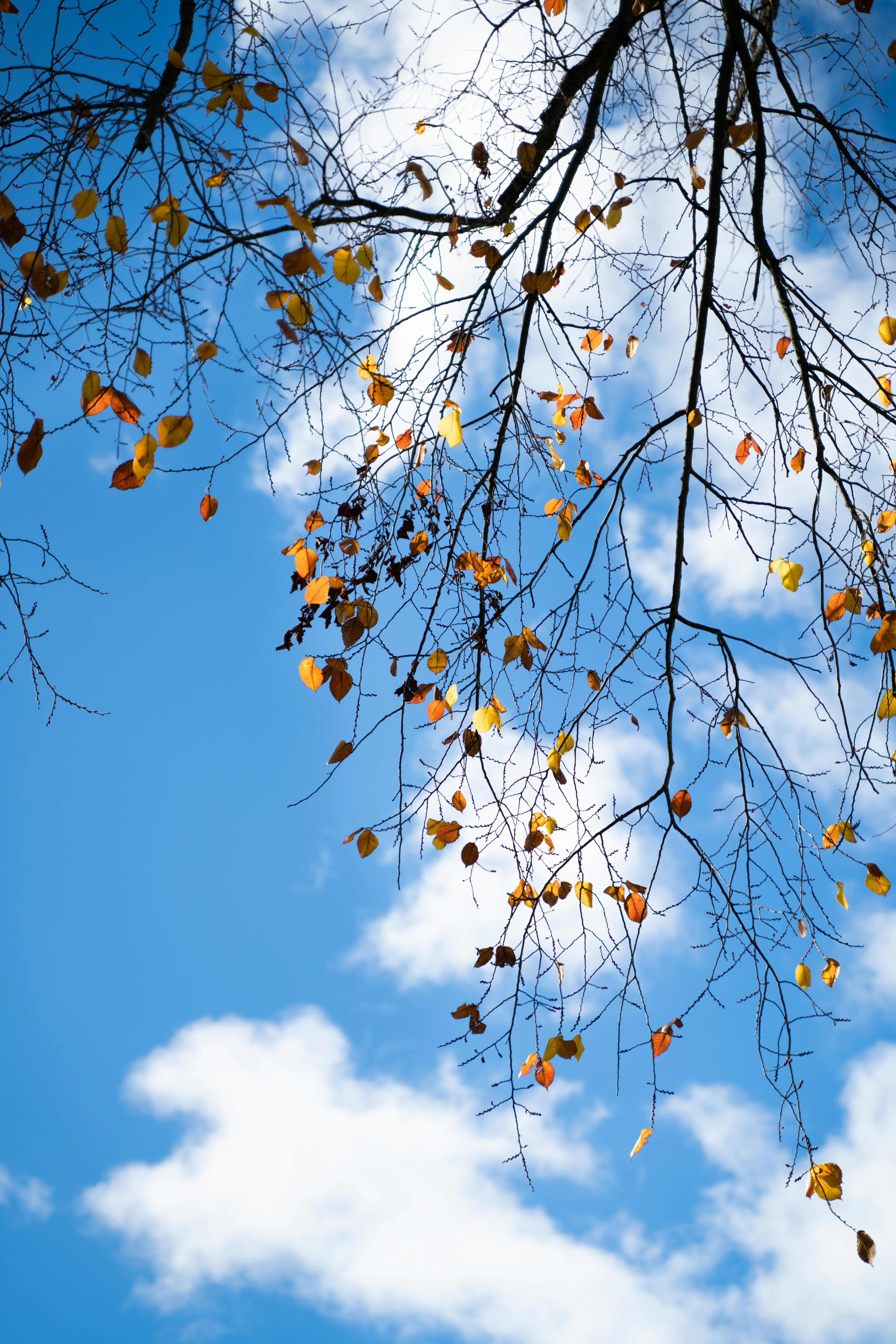 Photo by austin_7792