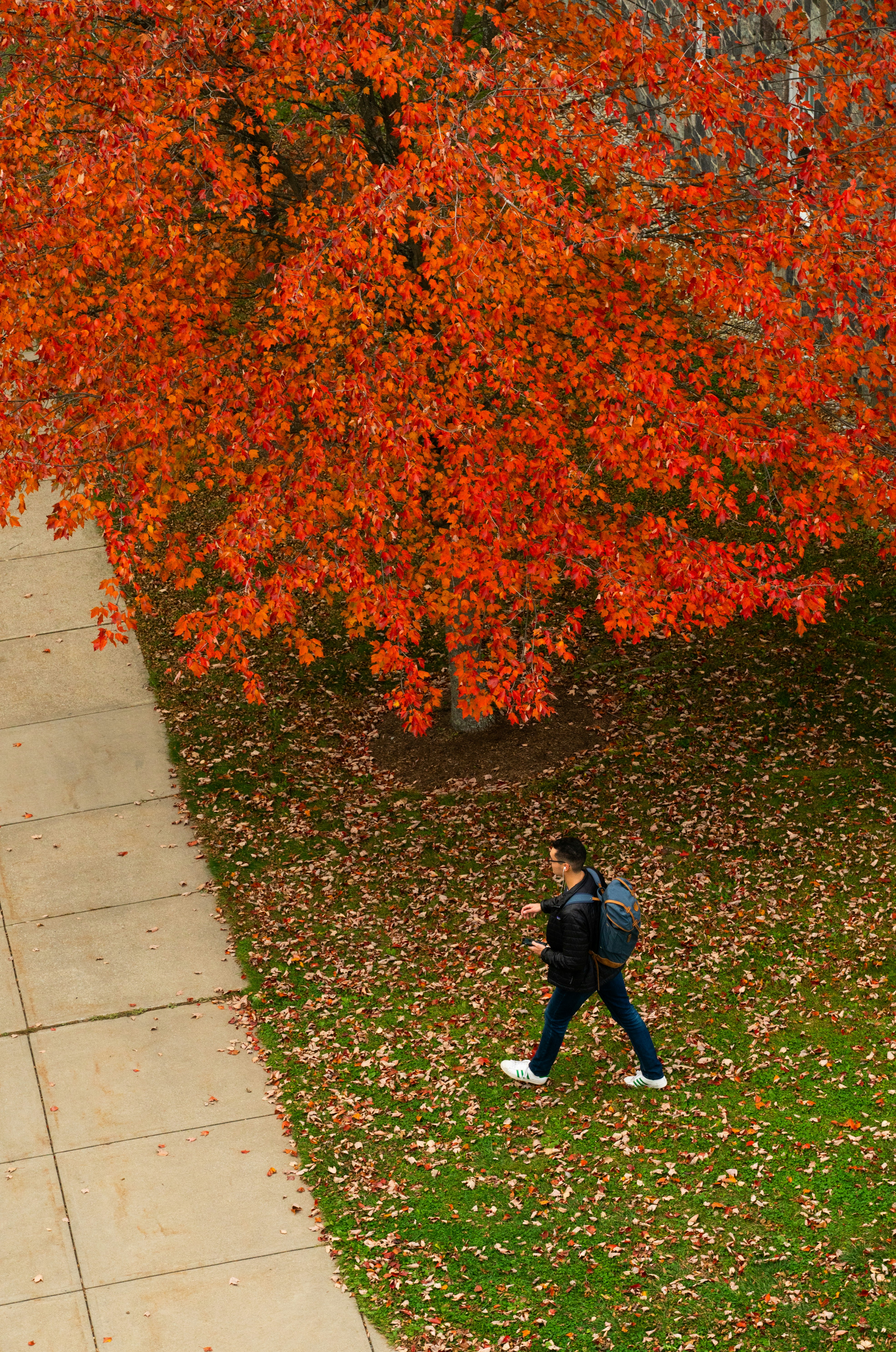 Photo by austin_7792