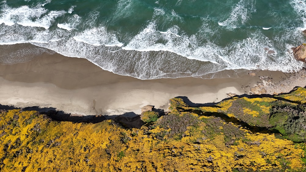 an aerial view of a beach and ocean