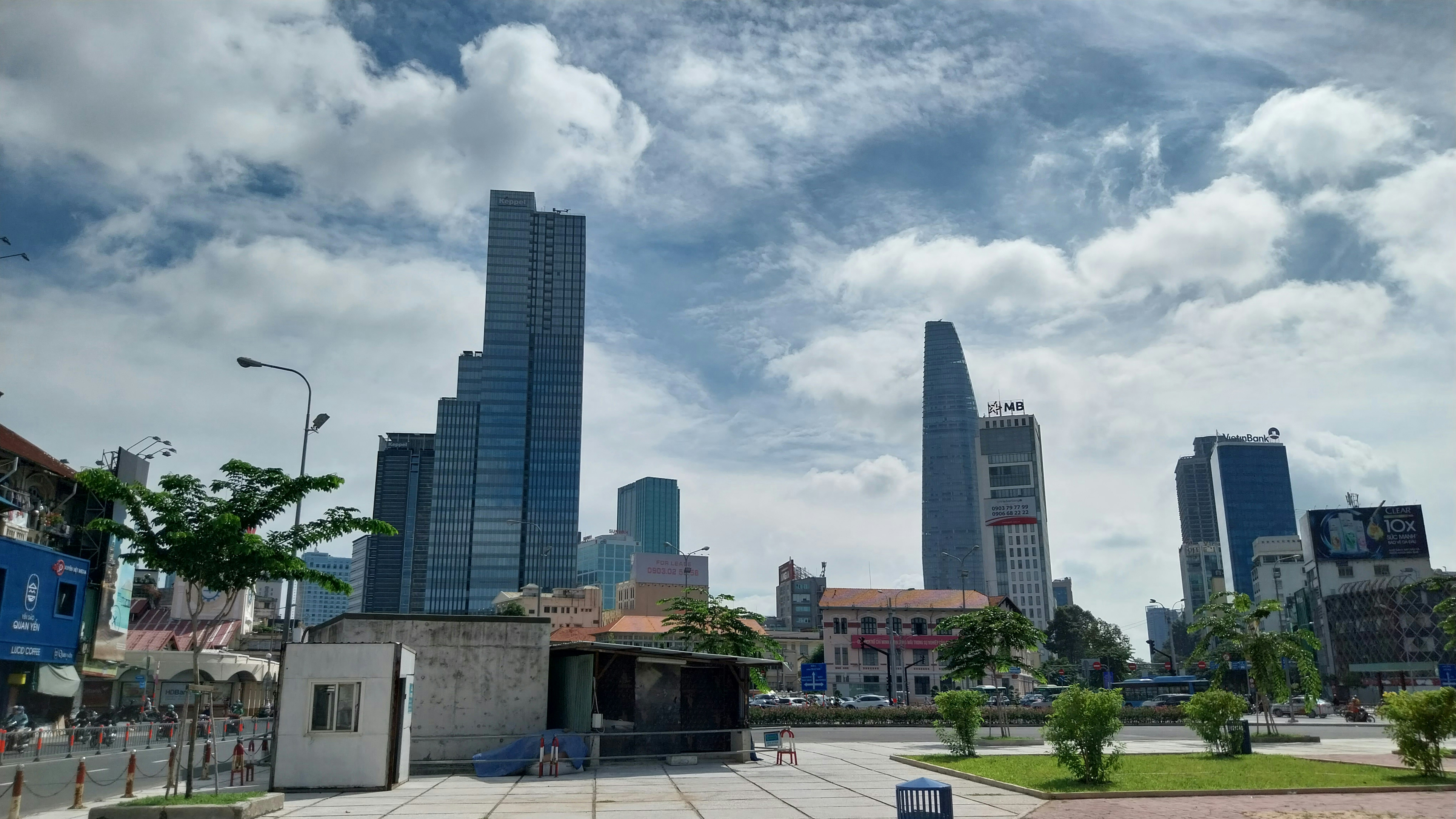 đồng cỏ lau 3