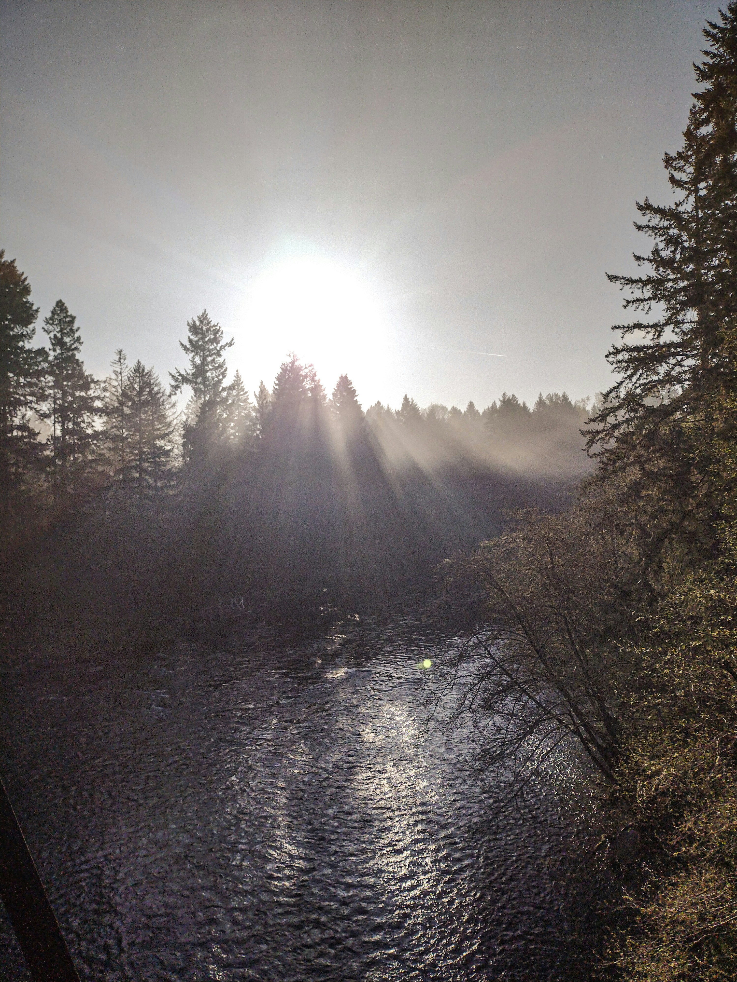 Photo by prphotography262