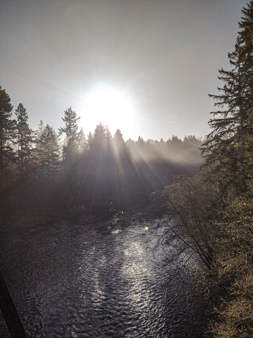 the sun is shining over a river surrounded by trees