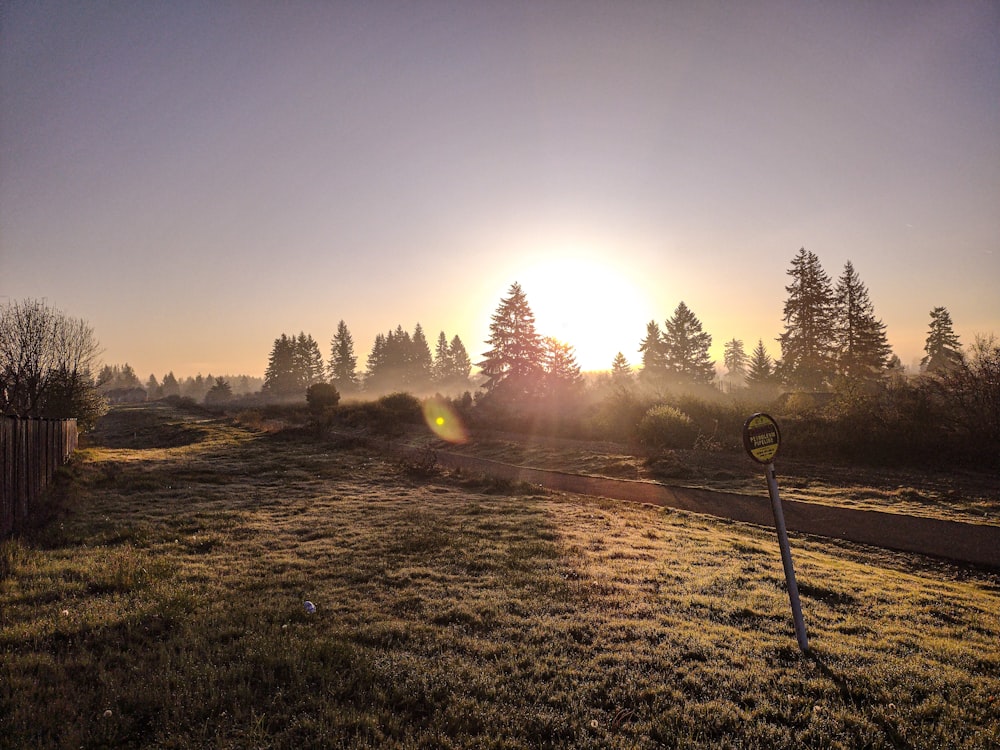 the sun is setting over a grassy field