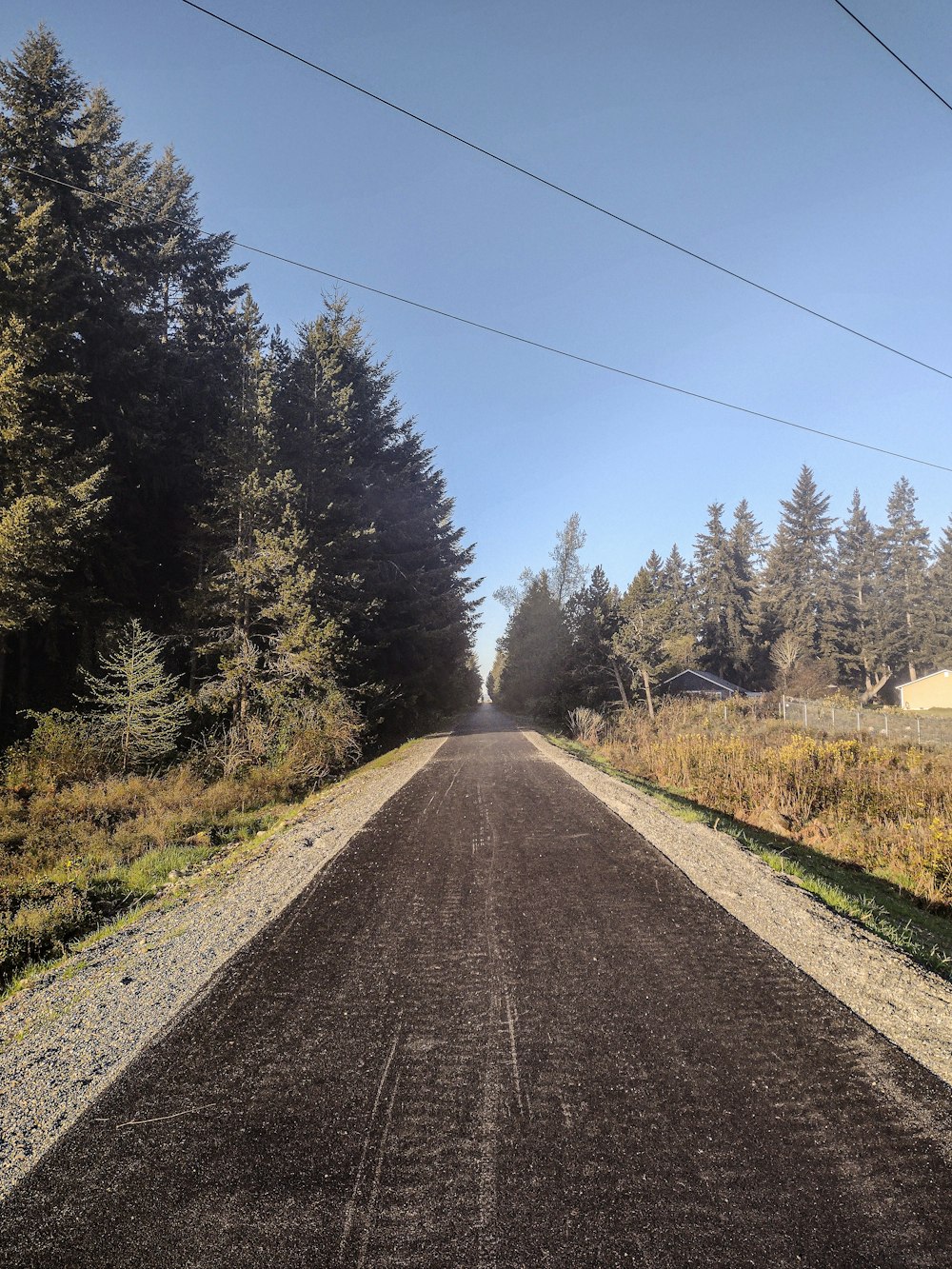 a dirt road surrounded by trees and grass