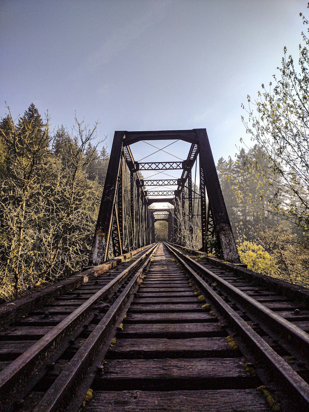 a train track going over a bridge in the woods
