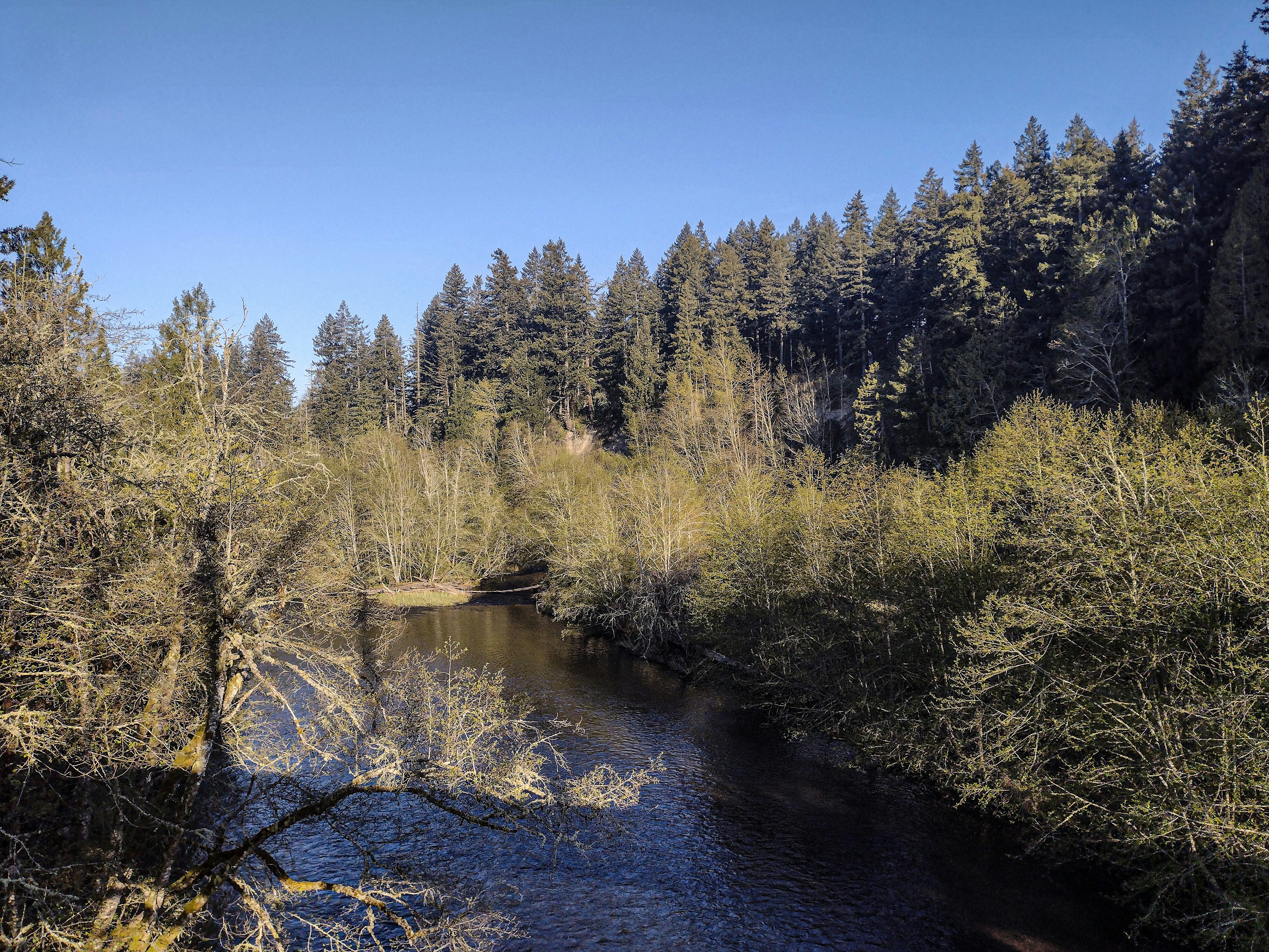 Photo by prphotography262