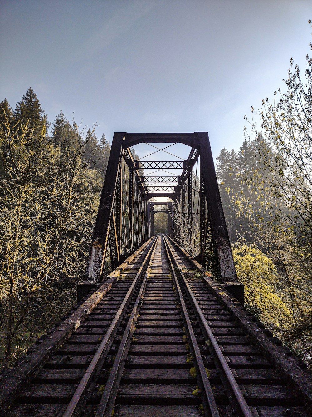 a train track going over a bridge in the woods