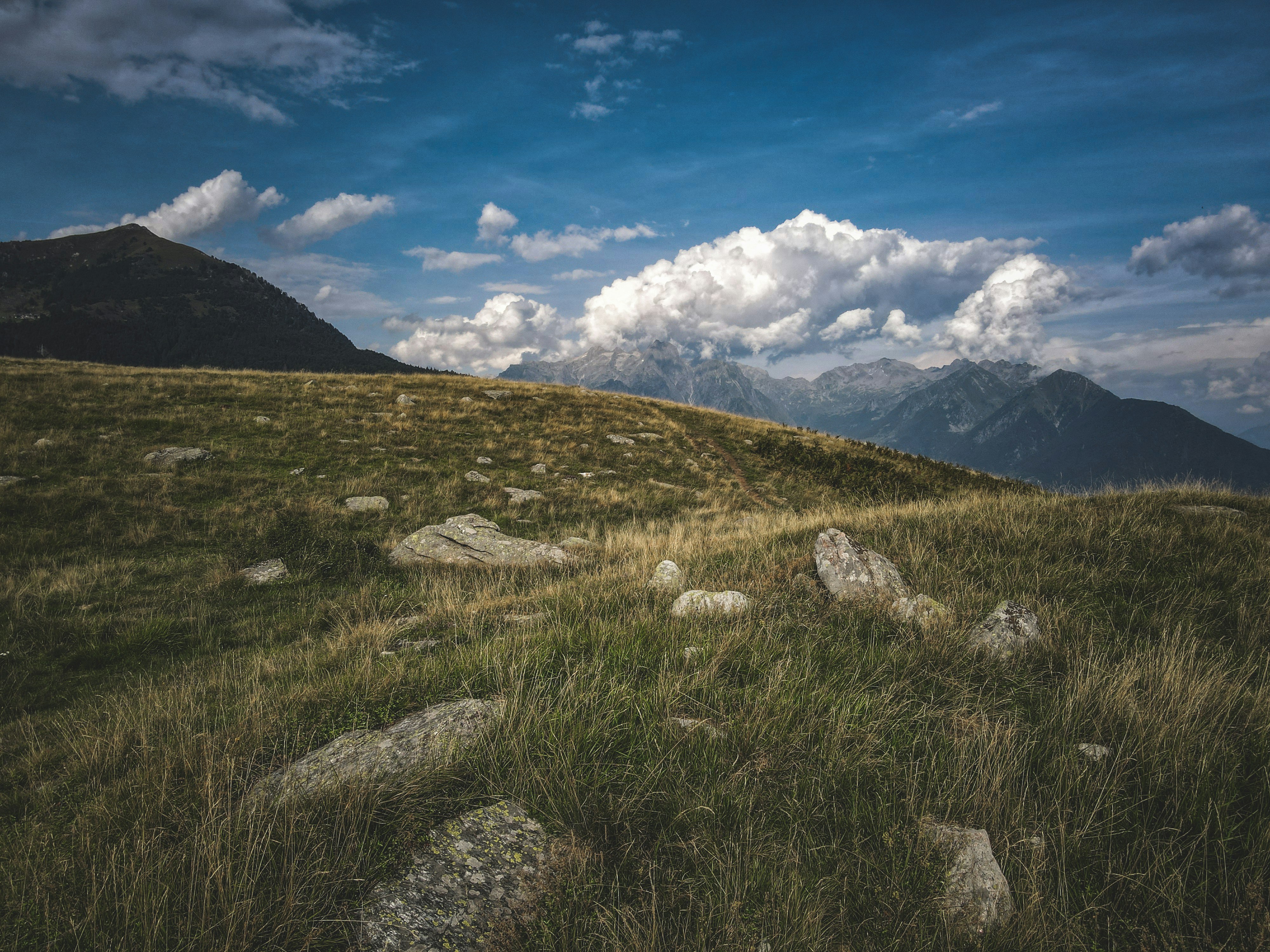 Photo by francesco_ungaro