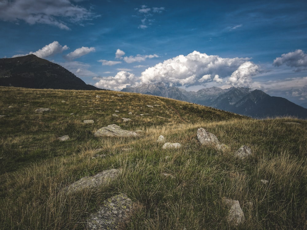 a grassy field with rocks and grass in the foreground