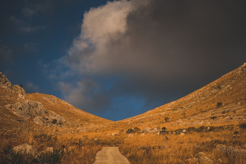 a dirt road in the middle of a field