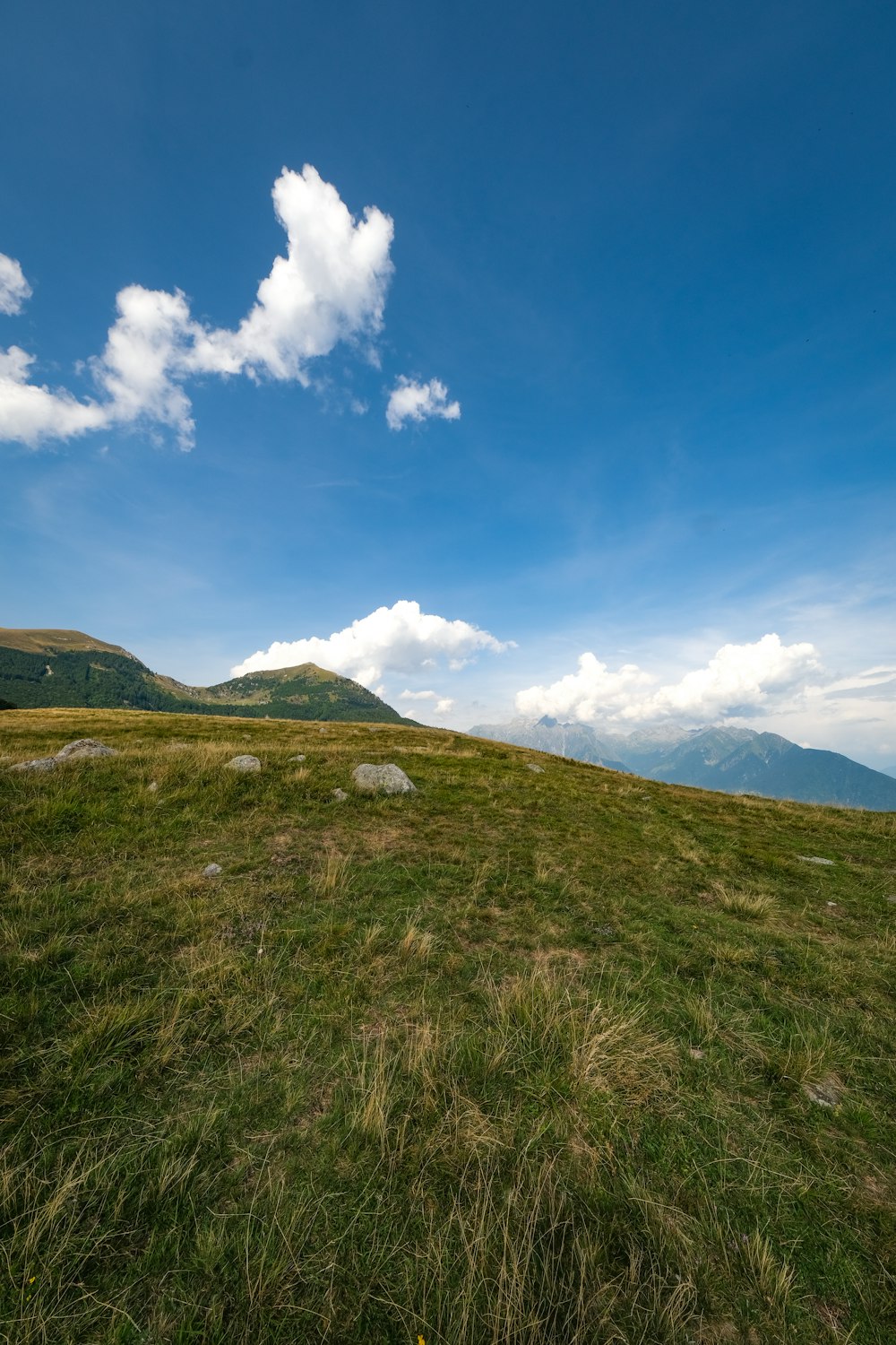 a grassy field with mountains in the background