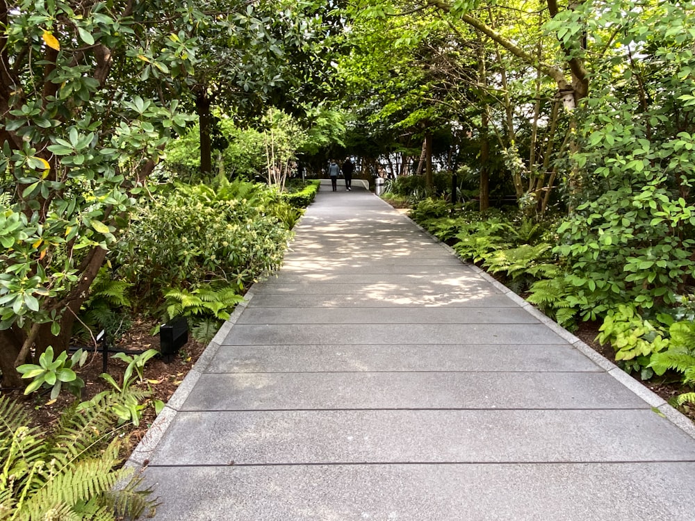 a walkway surrounded by trees and plants