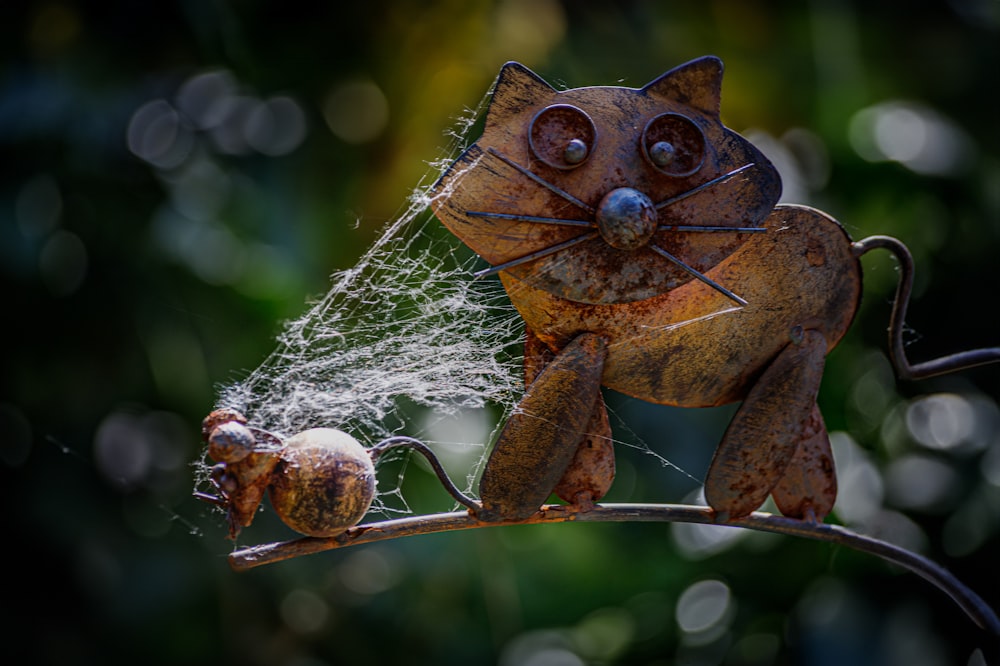 a close up of a cat on a branch with a spider web