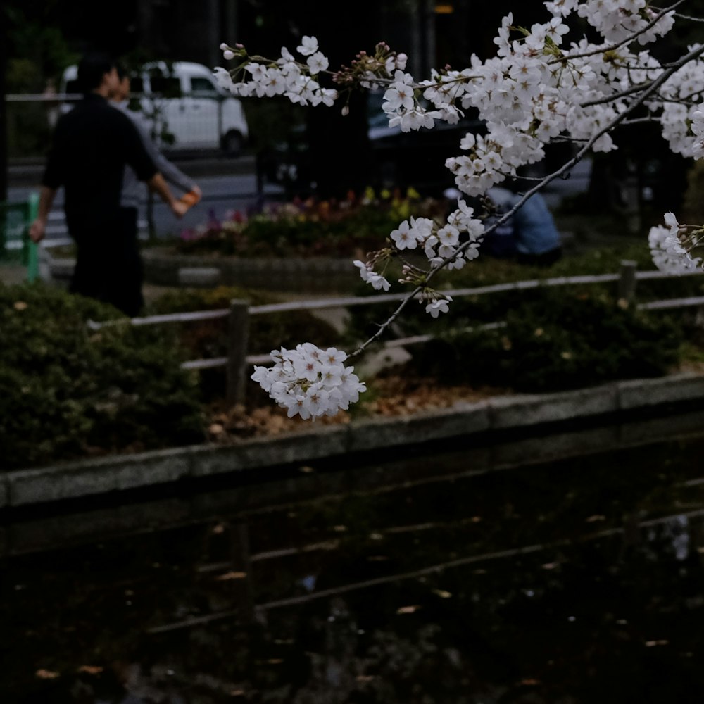 a man walking down a street next to a tree