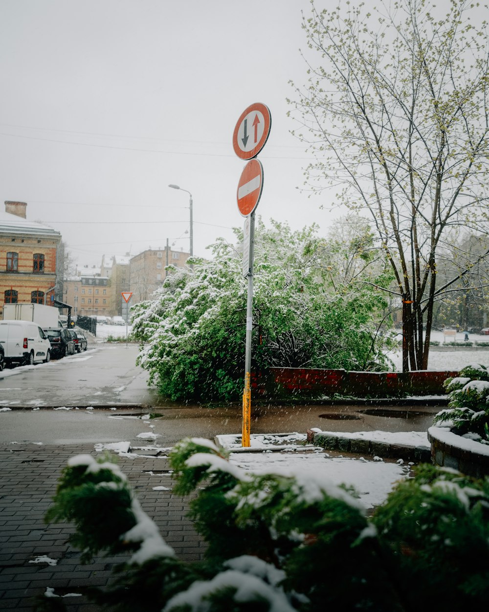 a no parking sign on a snowy street