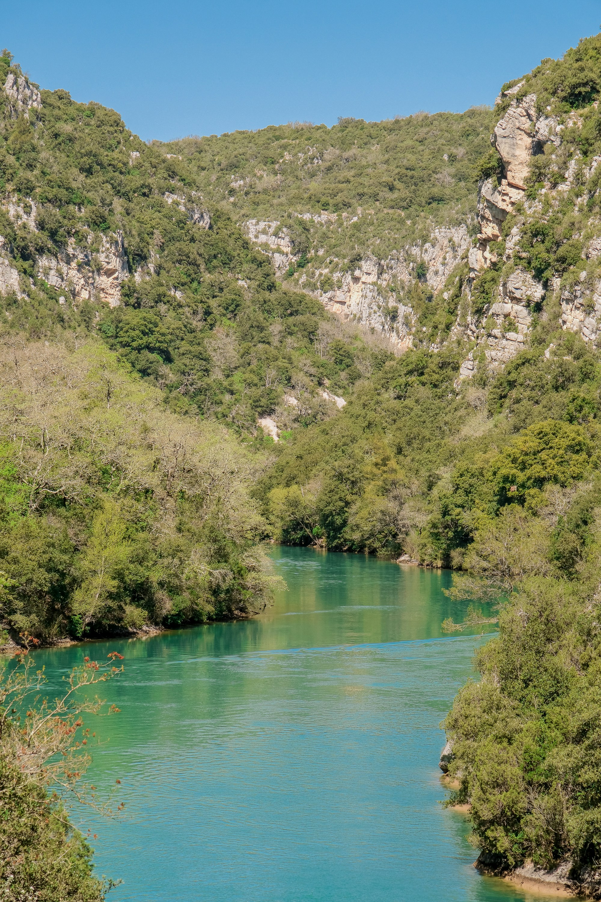 Photo by cestmoisheedy