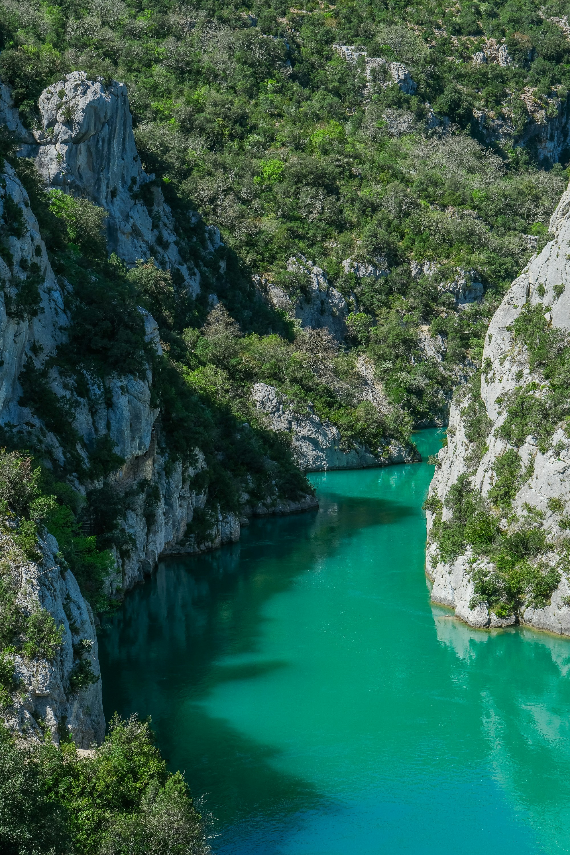 Photo by cestmoisheedy