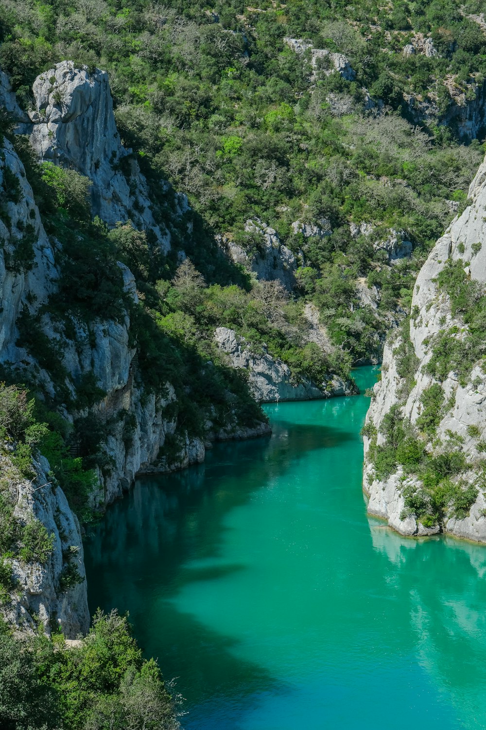 a body of water surrounded by mountains and trees