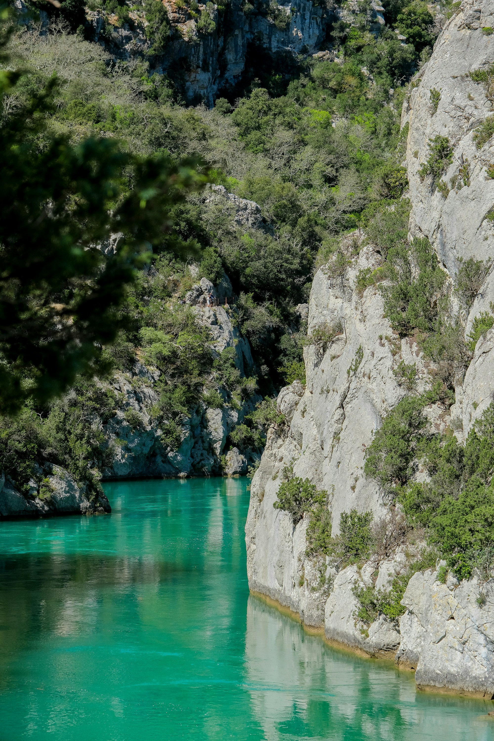 Photo by cestmoisheedy