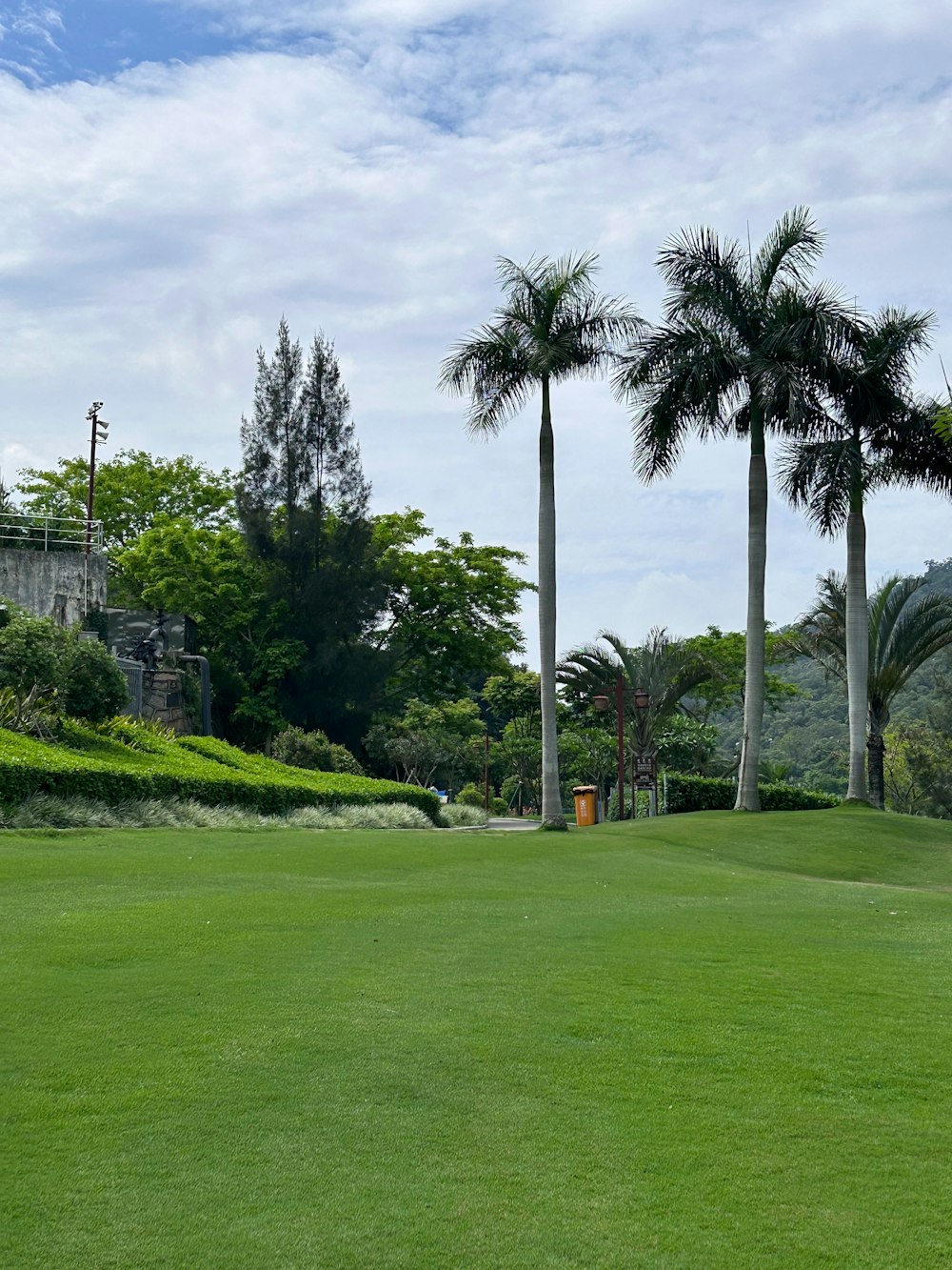a green golf course with palm trees in the background