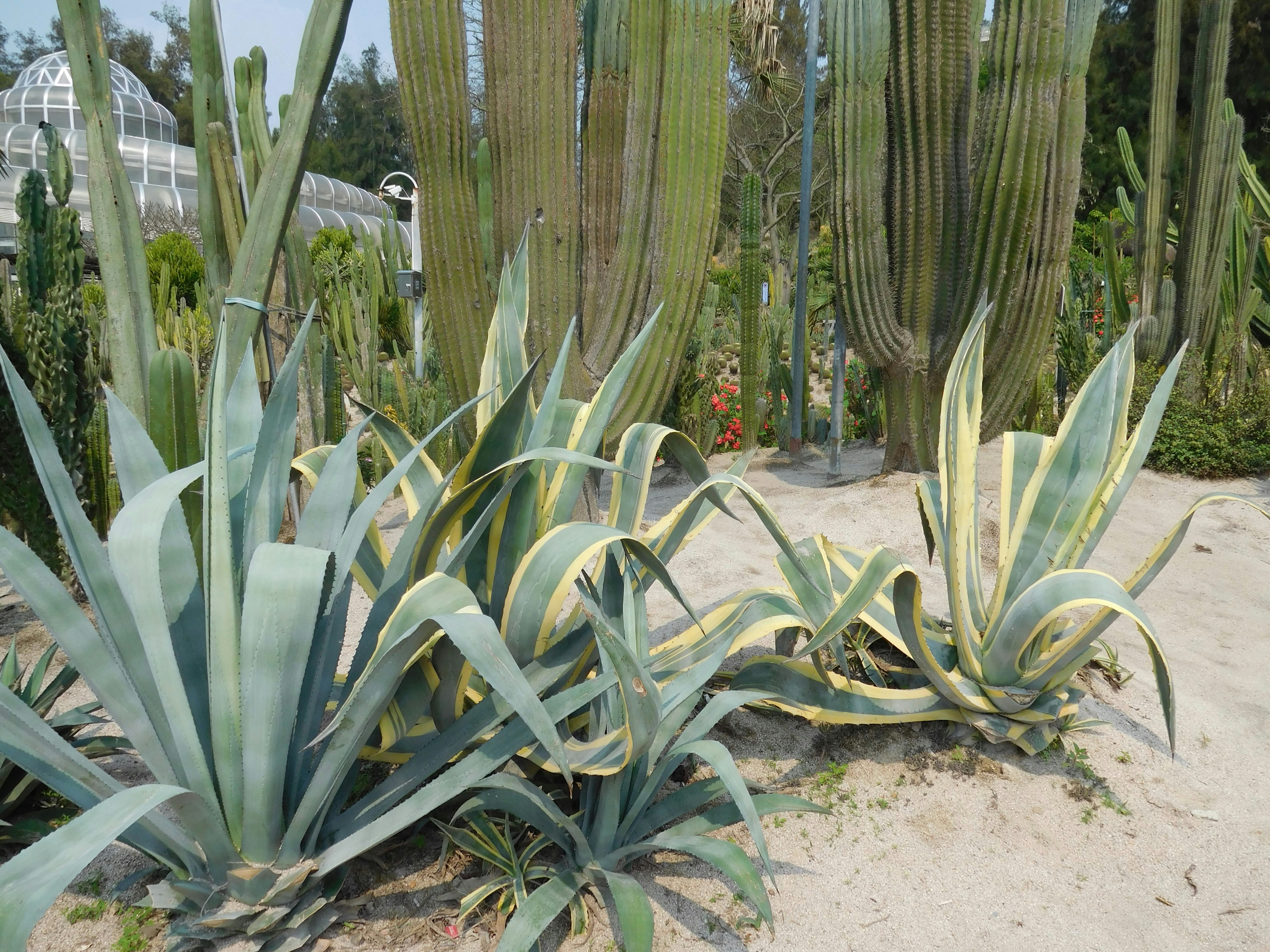 Photo by hanghang4444