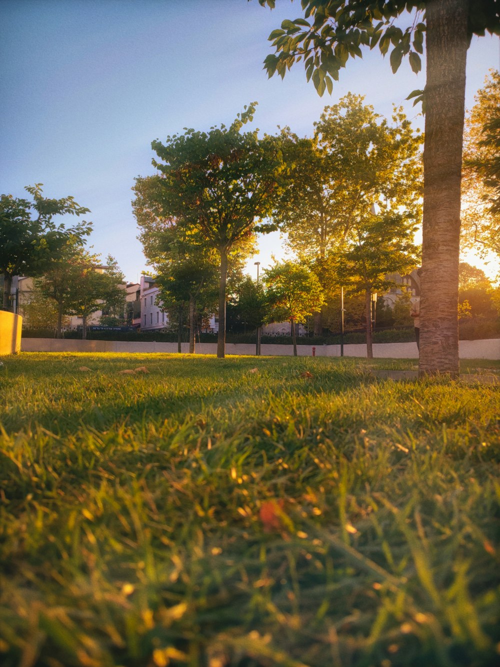 a yellow frisbee sitting on top of a lush green field