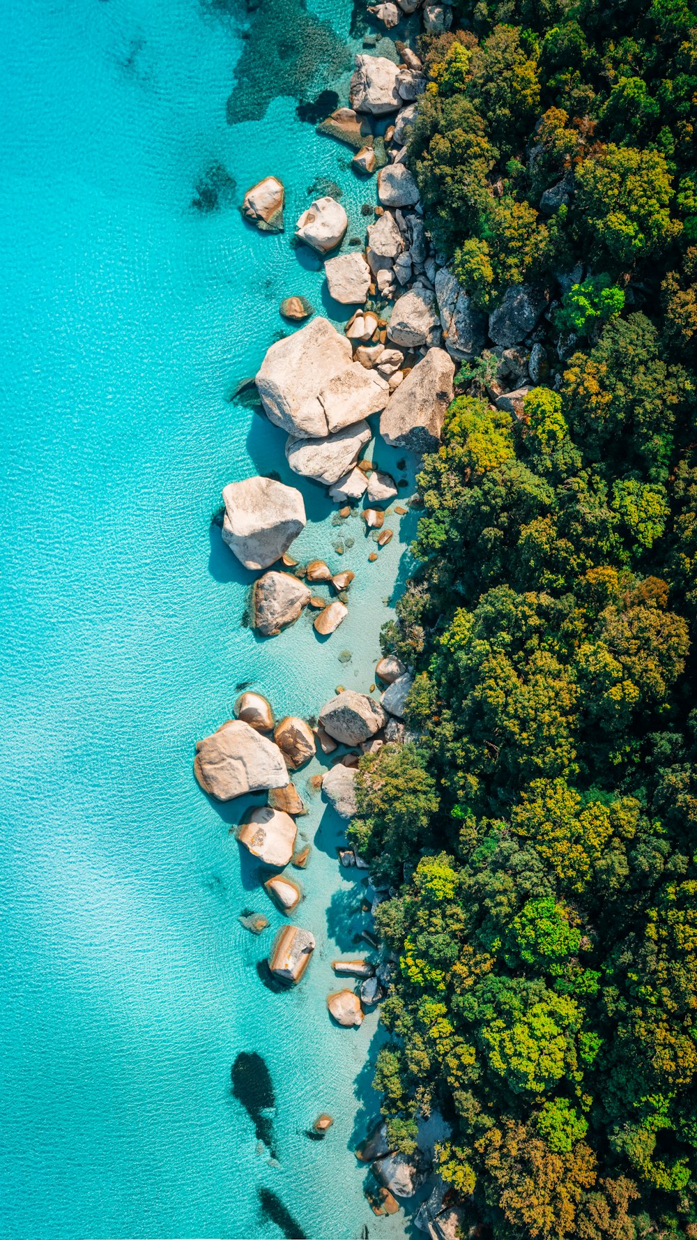 an aerial view of a body of water surrounded by trees