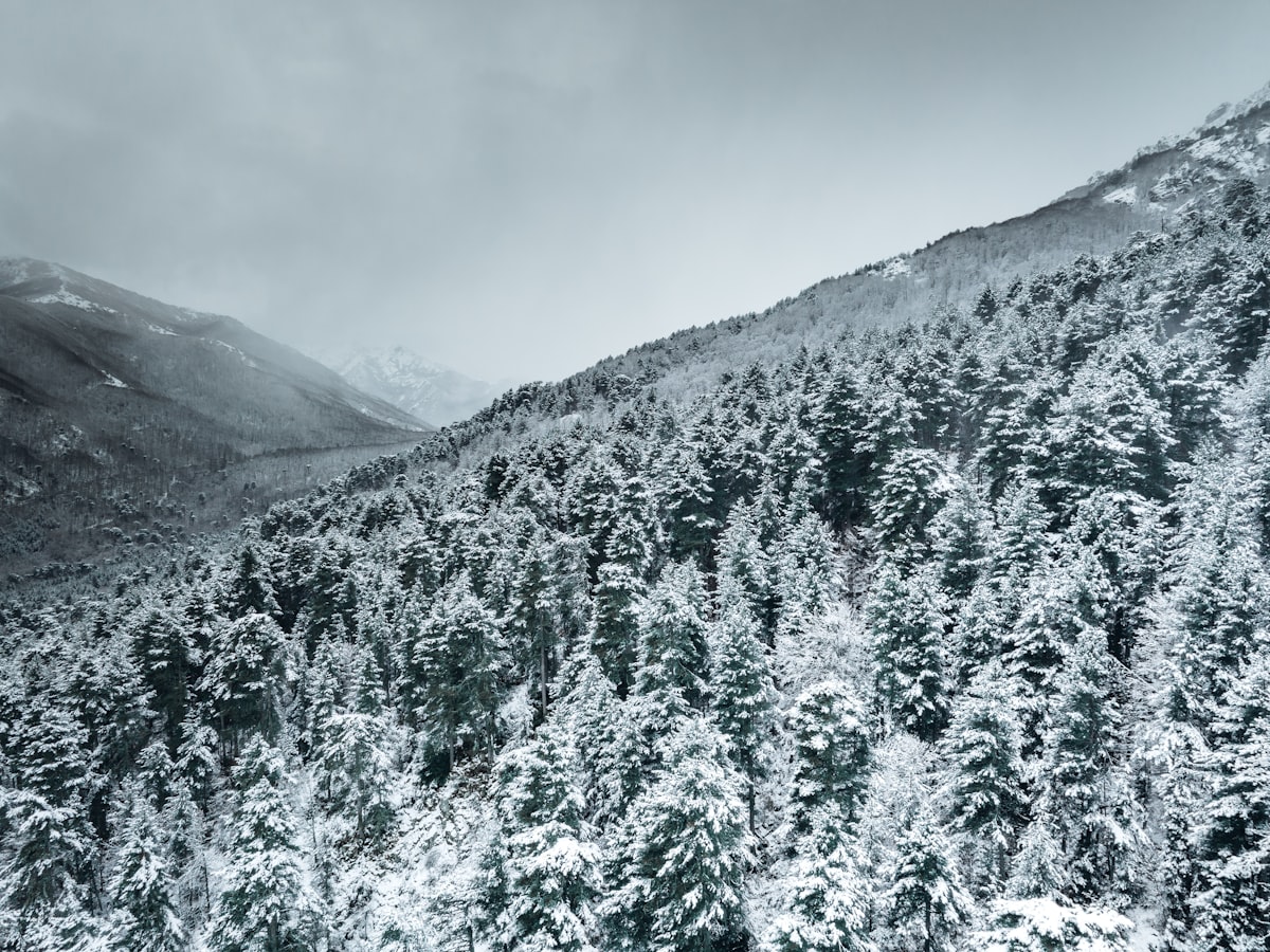 Chastreix-Sancy photo 1