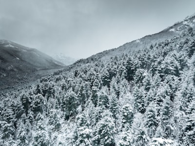 Chastreix-Sancy