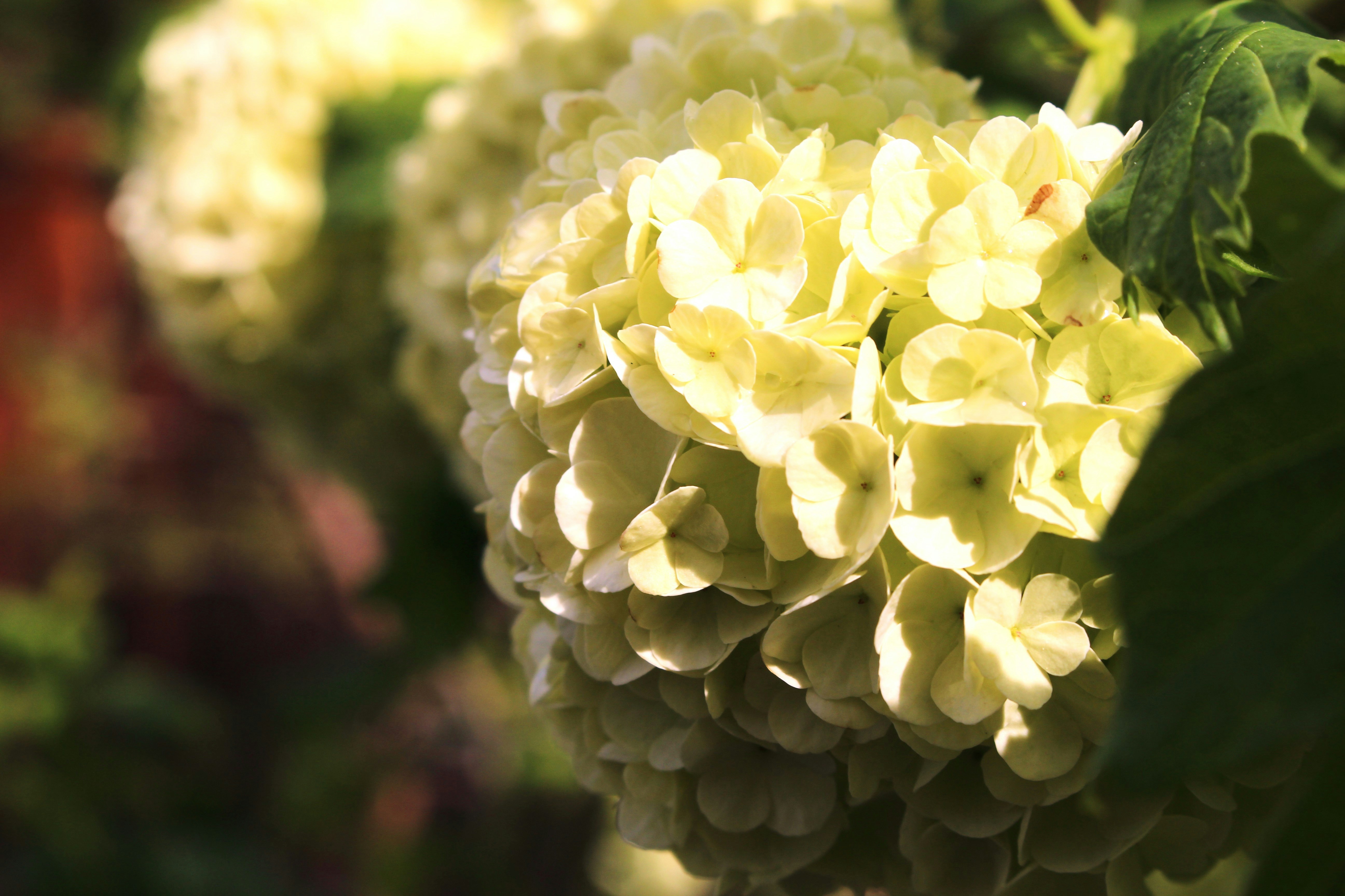 Photo by marjorylucabaxter