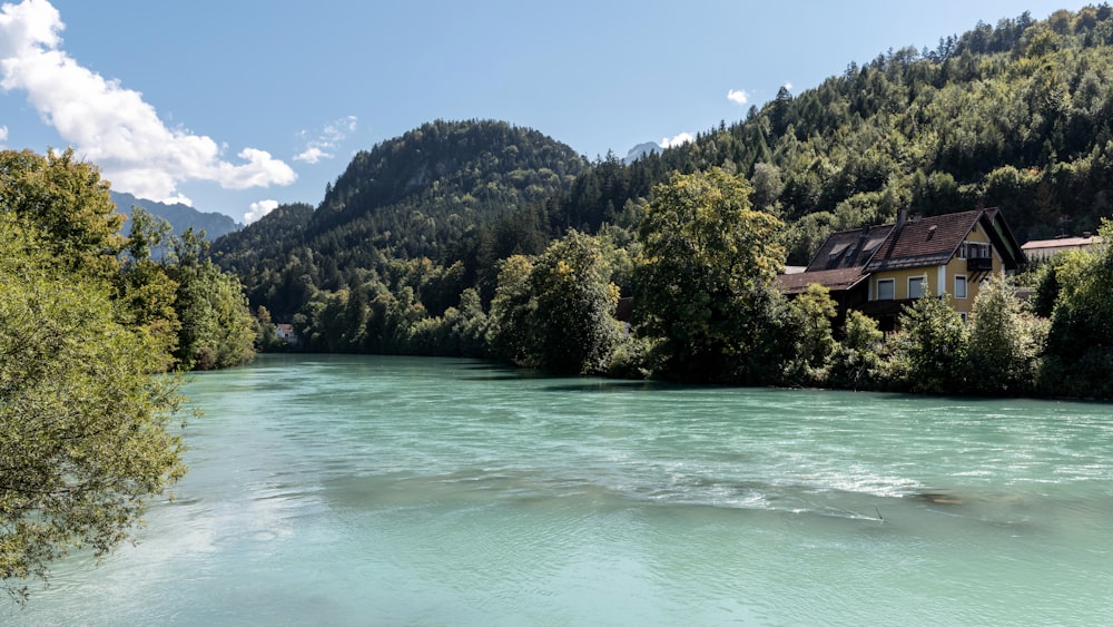 une rivière qui coule à travers une forêt verdoyante