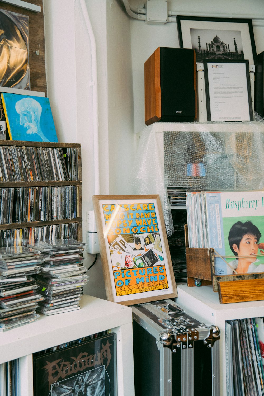 Una colección de discos y CDs en una estantería