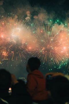a crowd of people watching a fireworks display