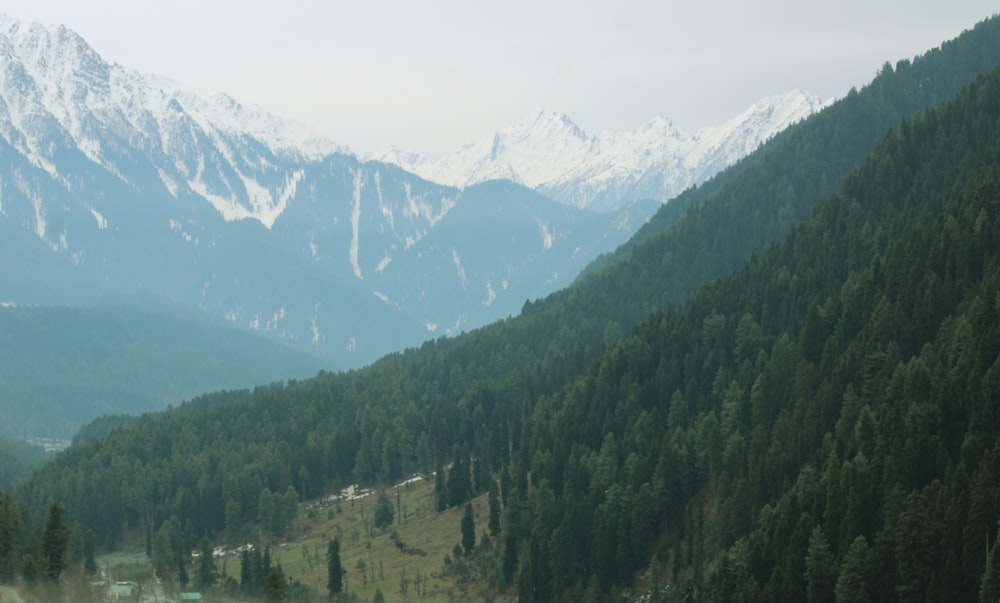 a scenic view of a mountain range with trees in the foreground